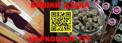 крисы Обь
