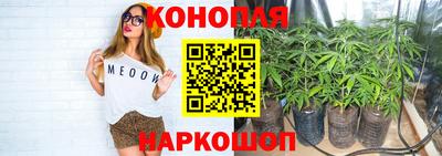 Альфа ПВП Обнинск
