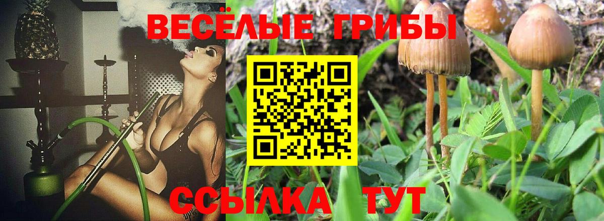 Галлюциногенные грибы мухоморы  Псилоцибиновые грибы Psilocybine cubensis  Сочи  Вход с VPN 