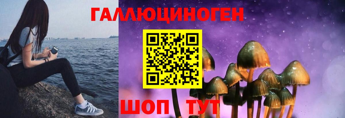 Псилоцибиновые грибы ЛСД Сочи